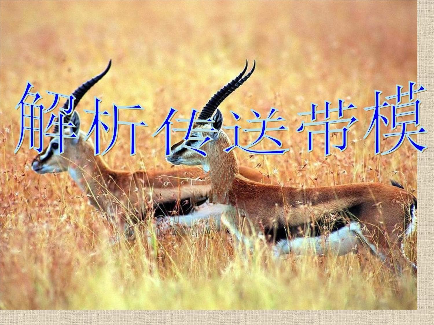 高中物理必考解析：传送带模型详解