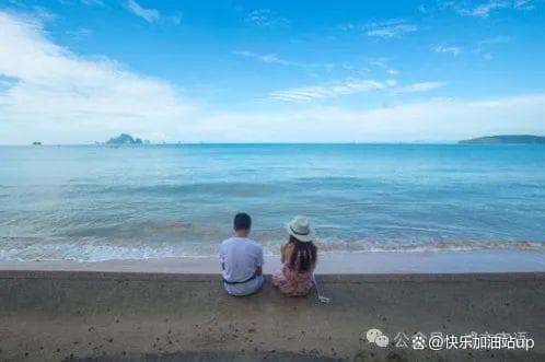 情感沟通的艺术：倾听、理解、共鸣