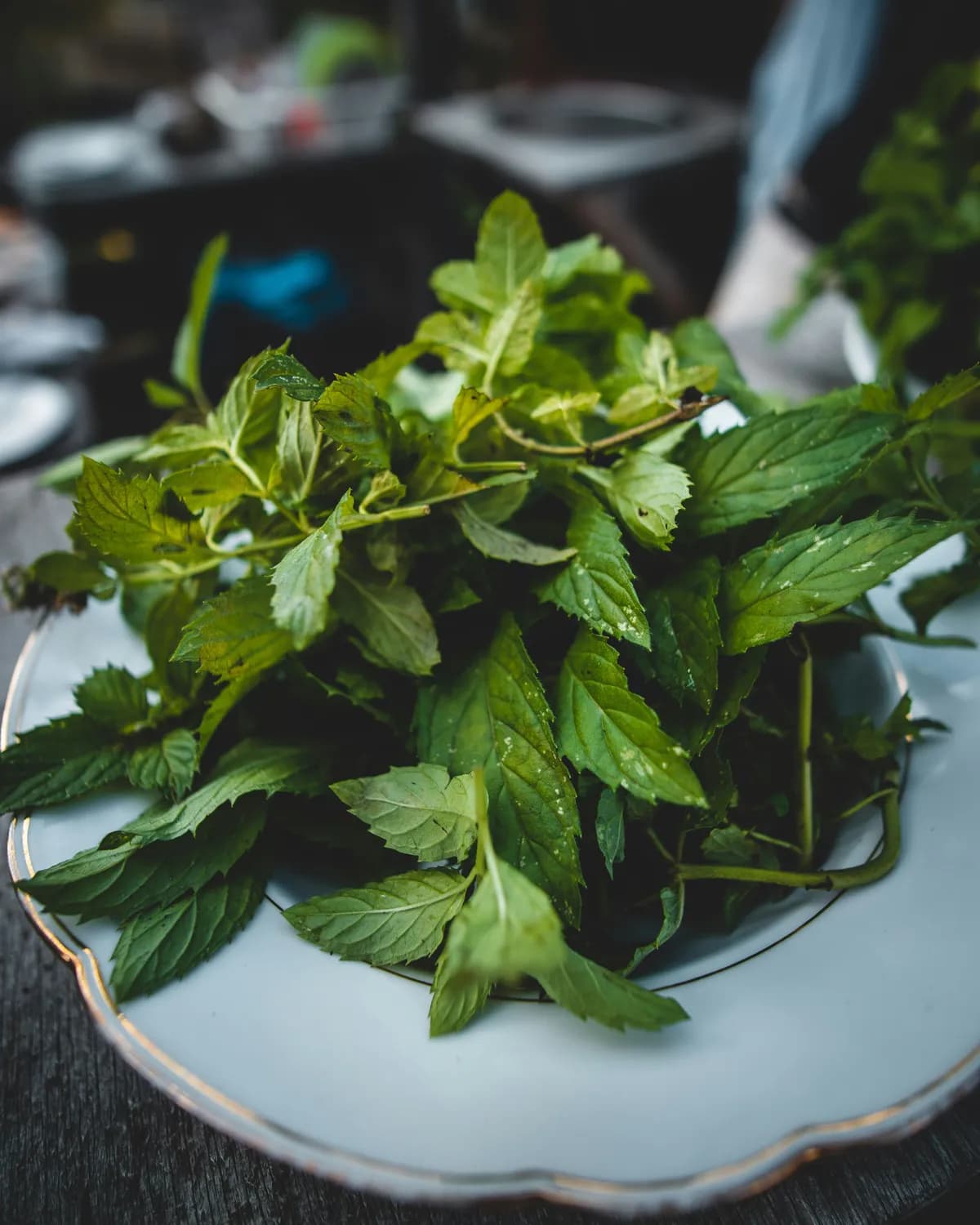 自制艾草薄荷膏：纯天然驱蚊止痒良方