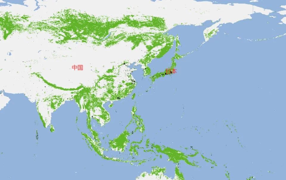 中国更绿了！森林覆盖率已超24%，“绿进沙退”的壮举太伟大了