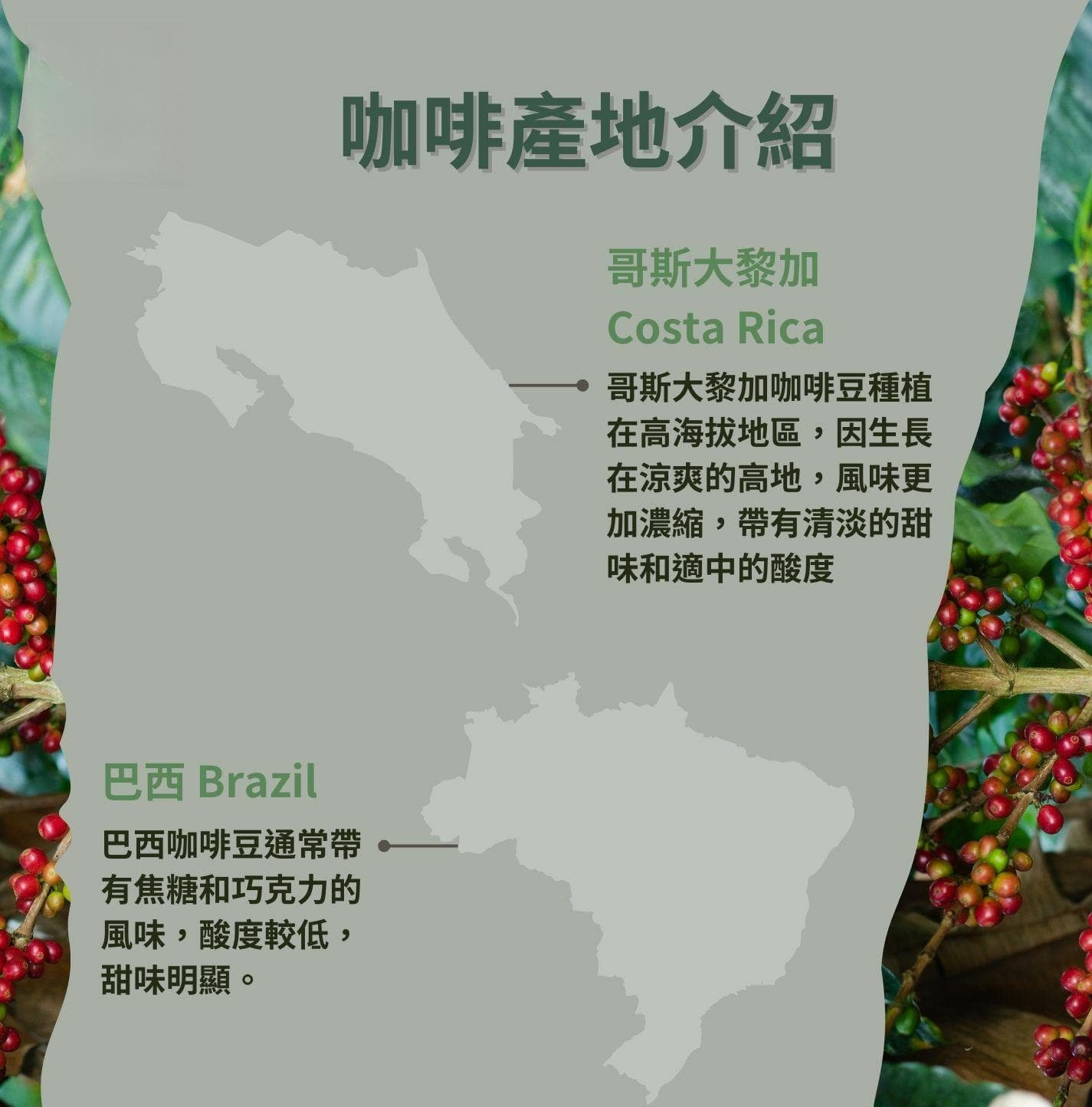 不同咖啡产地的风味特色全解析