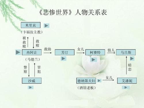 探究悲情人物的深层含义与角色定位