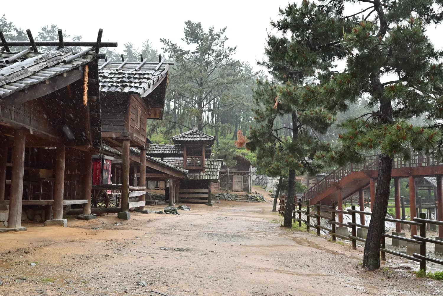 七宝美髯丸：从明朝宫廷秘方到现代养生圣品