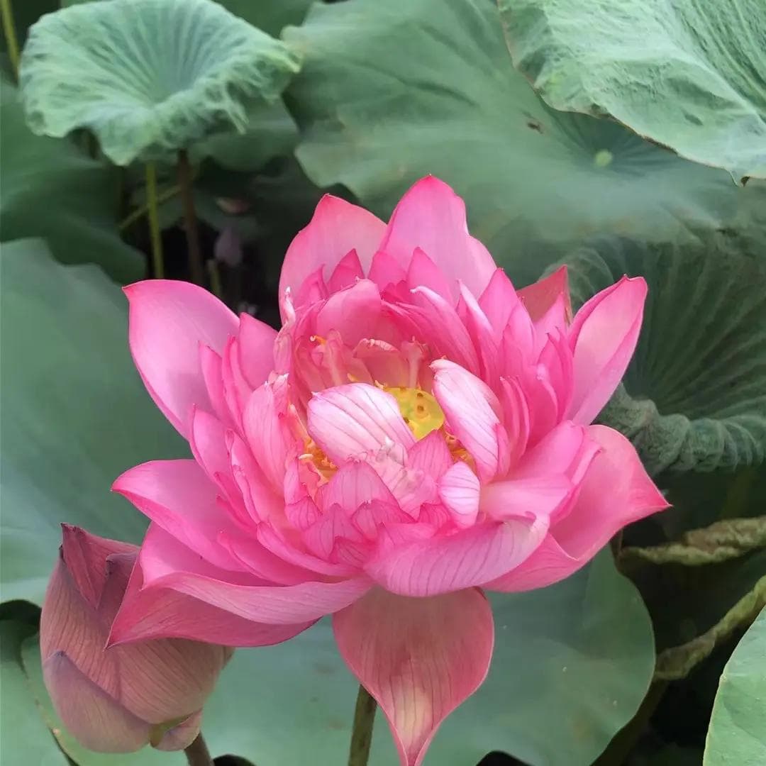 童年，在我懂得生活之苦中结束了
