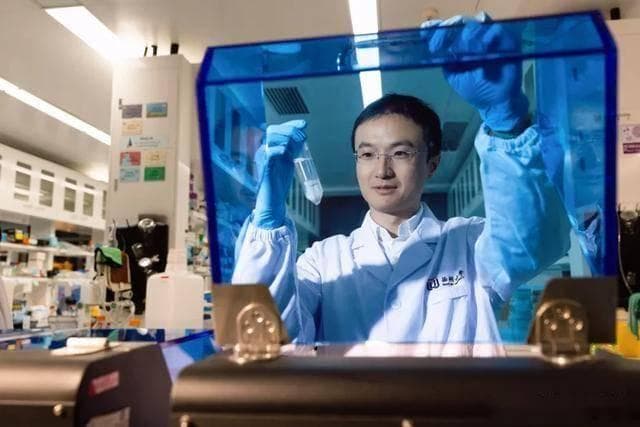 西湖大学最新Cell：长期轻断食，小心发量！