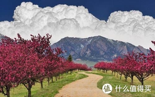 让家庭账单“瘦身”有道：从预算规划到节省技巧