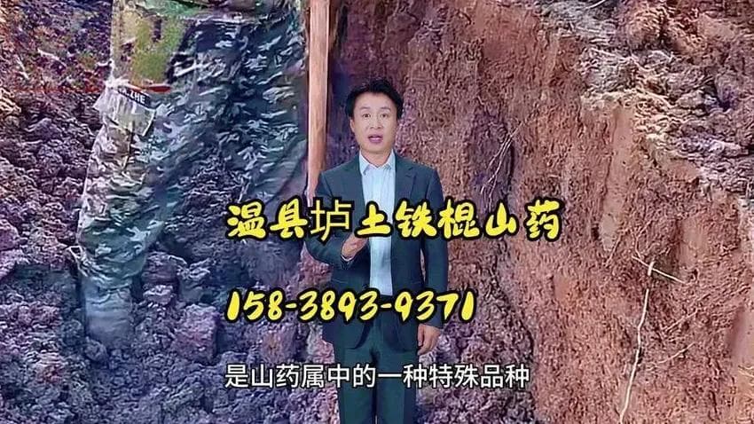 山药的功效与用途：从抗衰老到增强免疫力