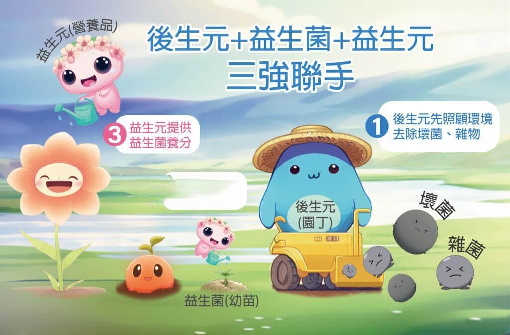 益生菌、益生元、后生元关系详解：一文读懂肠道健康的关键