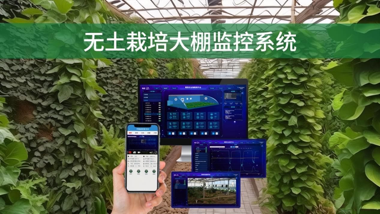 无土栽培大棚监控系统应用，精准管理