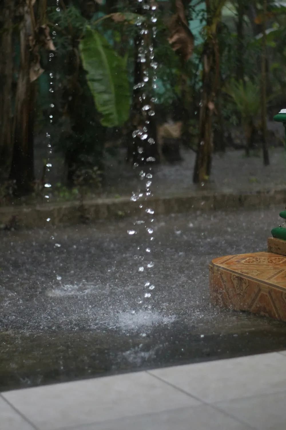 清明时节春雨的秘密：为何总是“雨纷纷”？