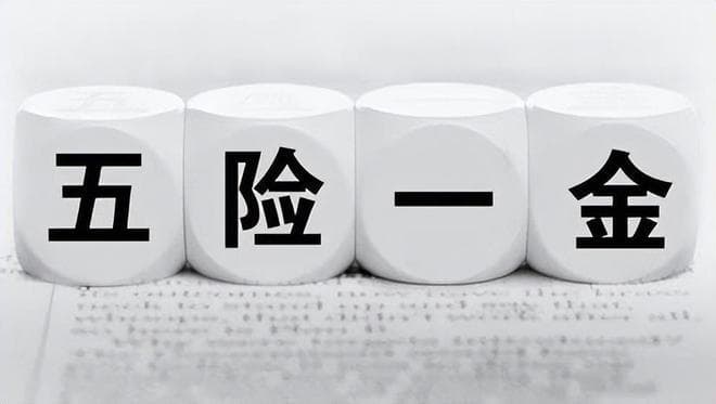 “五险一金”指的是什么，由哪些部门负责？看完你就全都明白了！