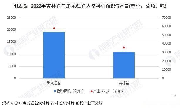 中国人参产业：东北三省主导，向大健康领域拓展