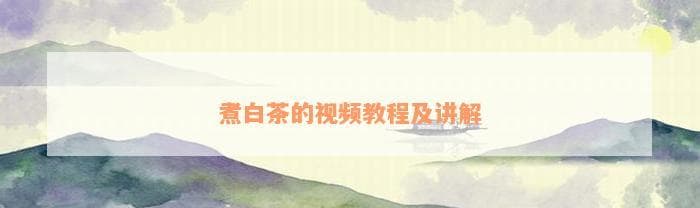 煮白茶的视频教程及讲解