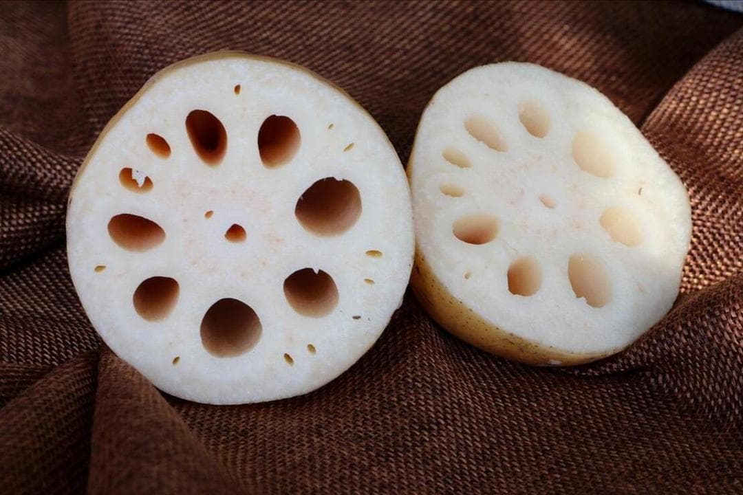 中国十大莲藕产区：从洪湖到安龙，品味千年文化传承