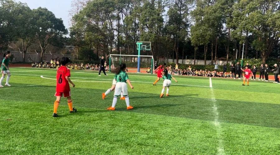 小学校抱团办大运动会，小操场也能有大空间，崇明：阳光体育让孩子们跑起来