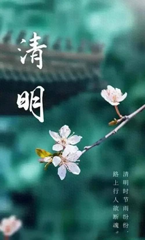 清明祭：历史渊源、文化内涵与现代传承的研究报告
