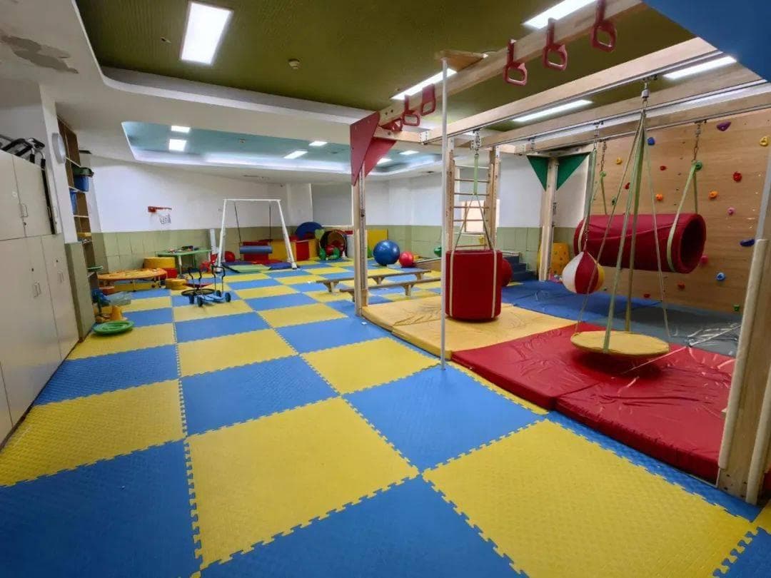 孩子智力与语言发育迟缓：科学康复训练指南
