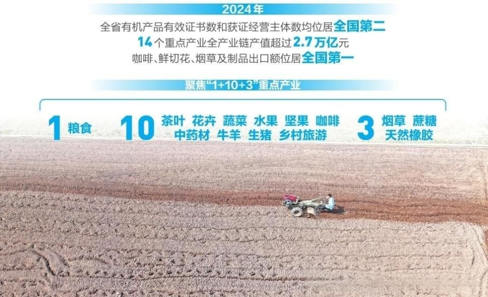 云南高原特色现代农业：从“云品出山”到“云品出海”