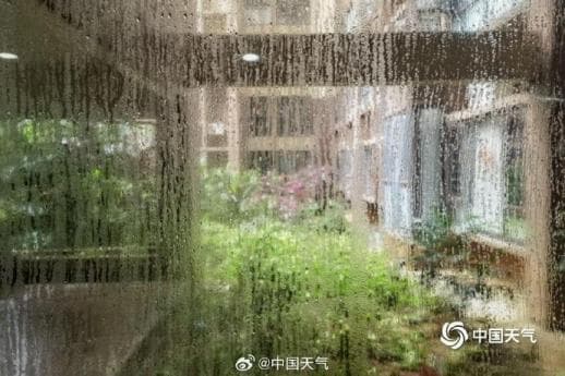 别让回南天“霉变”你的健康！科学防潮有妙招，速收藏→