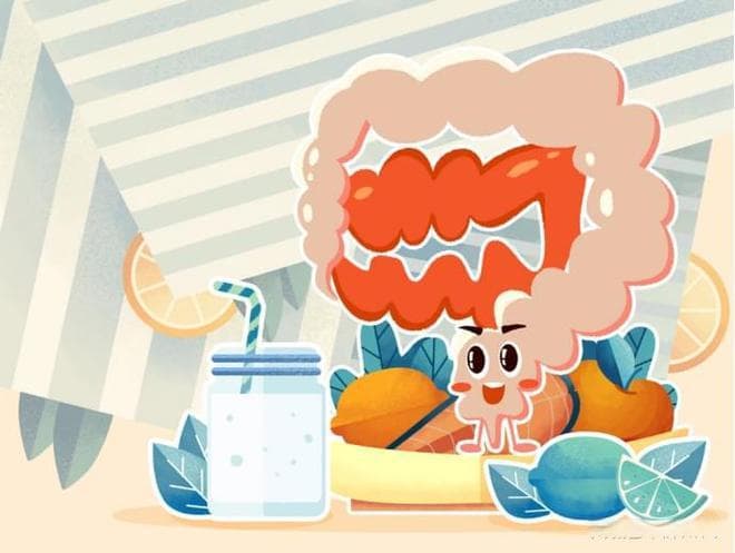 提升肠道健康：了解益生菌的作用与功效
