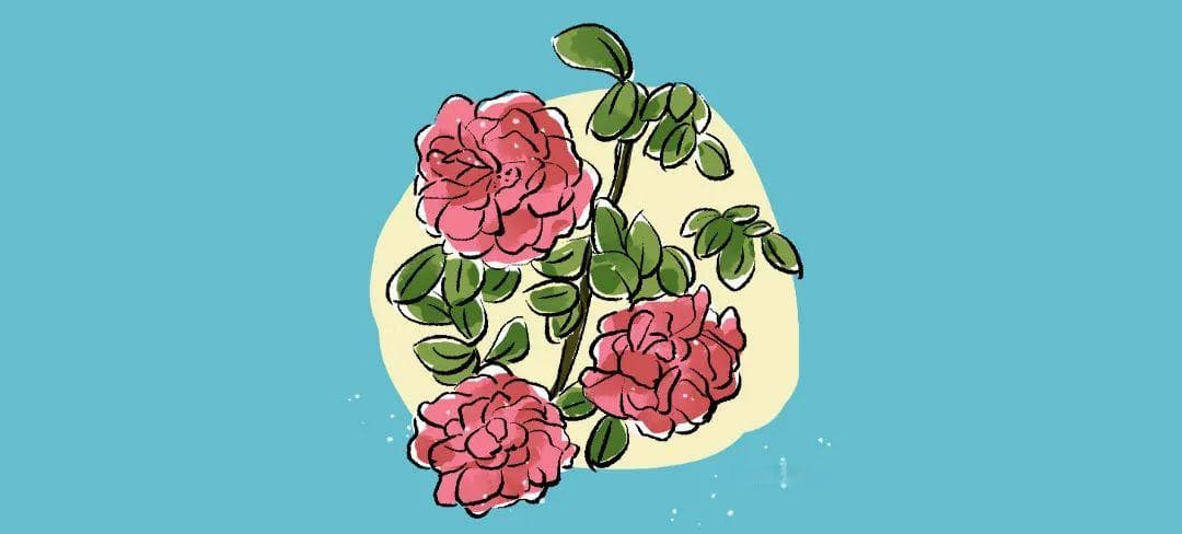 孩子输不起、玻璃心？这些提升孩子“抗挫力”的建议，值得一看