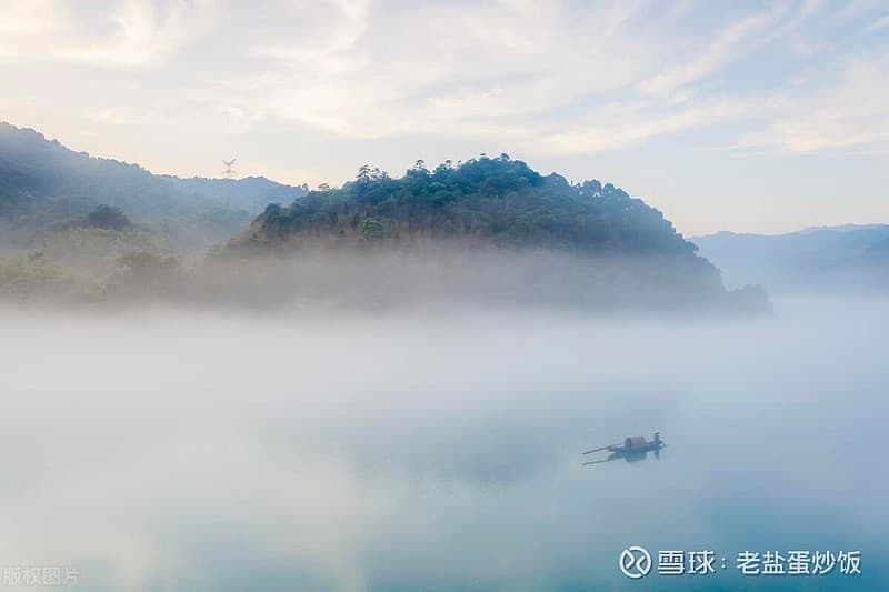 如何查询债券持有者结构？
