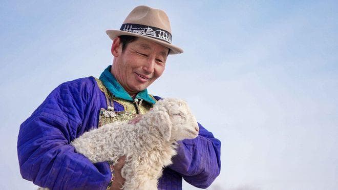 中国十大羊肉排名，这些地方羊肉吃过几种？