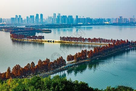 武汉东湖：城市中心的自然绿洲