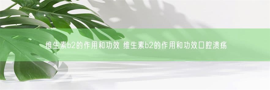 维生素B2的作用和功效：从视觉到免疫力的全方位守护