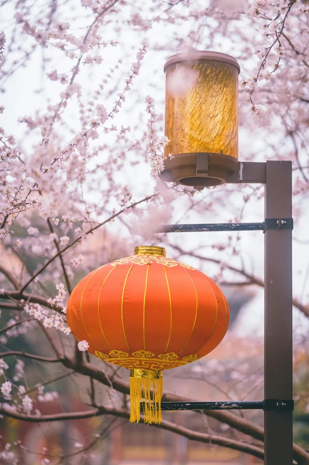双春年迎双春：2025年立春传统习俗与创新庆祝指南