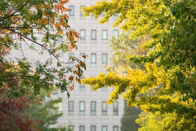 北京语言大学是双一流吗？“双一流”扩容，堪称潜力股！