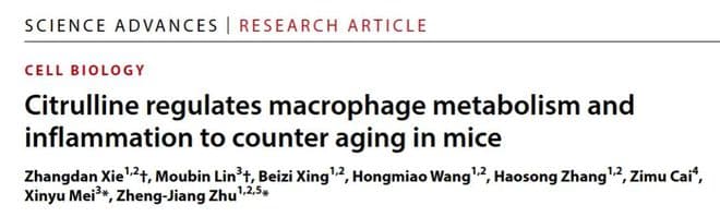多吃瓜抗炎防老！Science子刊：中科院发现瓜氨酸抗炎，续命一倍