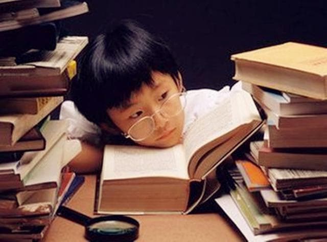 如何培养高效的学习动力