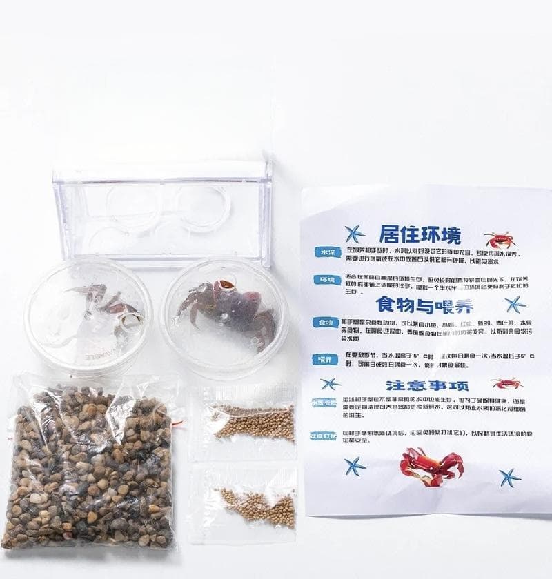 笔记量翻了400+倍，异宠们从“冷门动物”变“热门搭子”