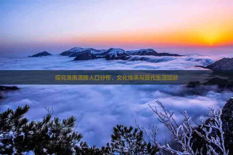 探究海南满族人口分布、文化传承与现代生活现状