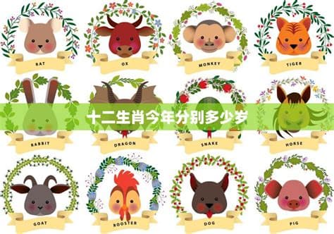 揭秘：轮完十二生肖究竟要多少年？
