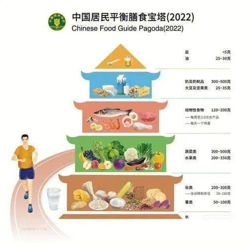 主食+蔬菜+优质蛋白，员工午餐标准公式来啦！教你一键科学就餐