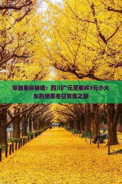穿越秦岭秘境：四川广元至秦岭3元小火车的绝美冬日赏雪之旅