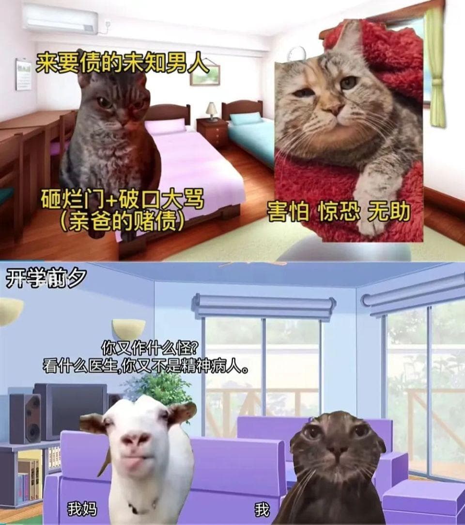猫meme统治地球，猫meme拯救世界