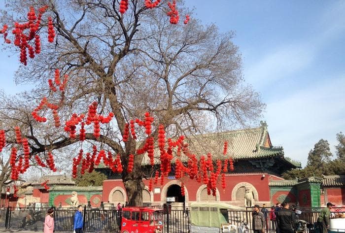 河北正定隆兴寺：梁思成誉为世界古建筑孤例 存鲁迅口中东方美神