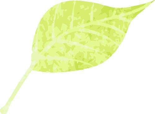 送您一份老年人拔牙“安全攻略”