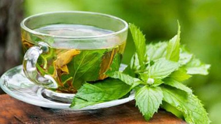 桑叶茶的功效与作用