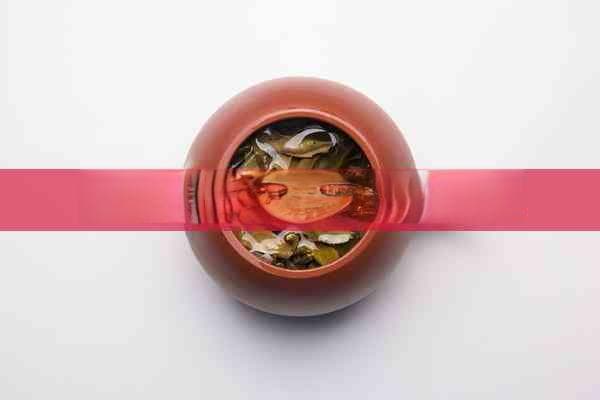 普洱茶一提是多少饼片斤两钱