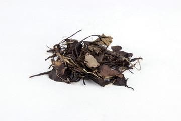鹿衔草的功效与作用