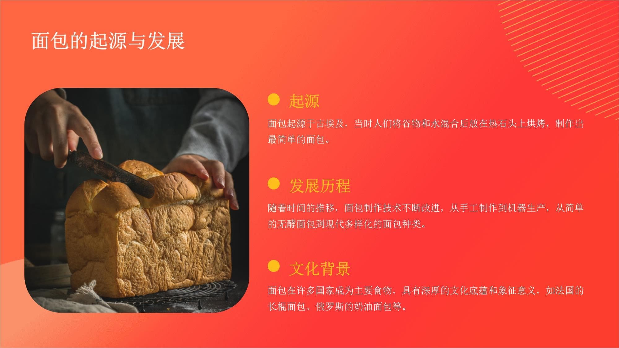 面包知识及制作方法详解：从入门到精通
