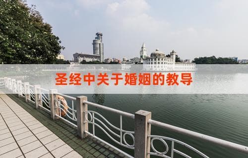 圣经中关于婚姻的教导：洞察与理解