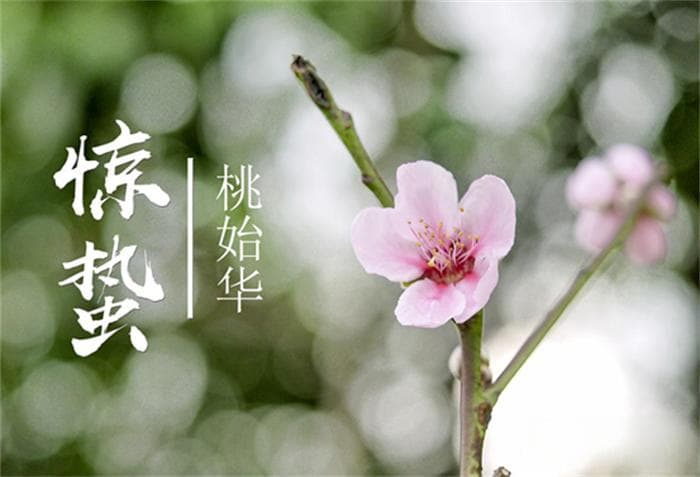 惊蛰时节养生全攻略：从饮食到情志，全方位调养身体