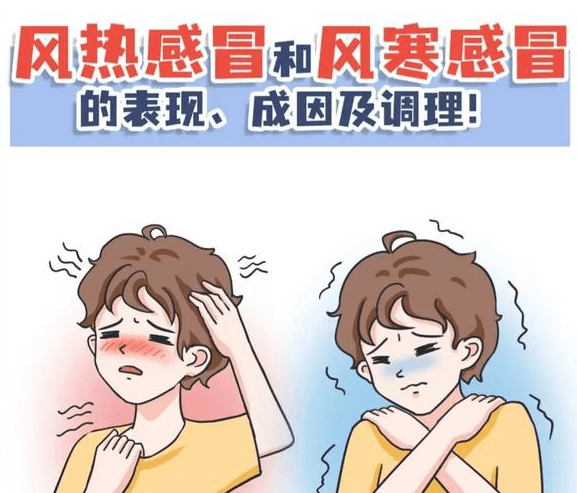 中医辨治感冒：风寒风热症状与用药指南