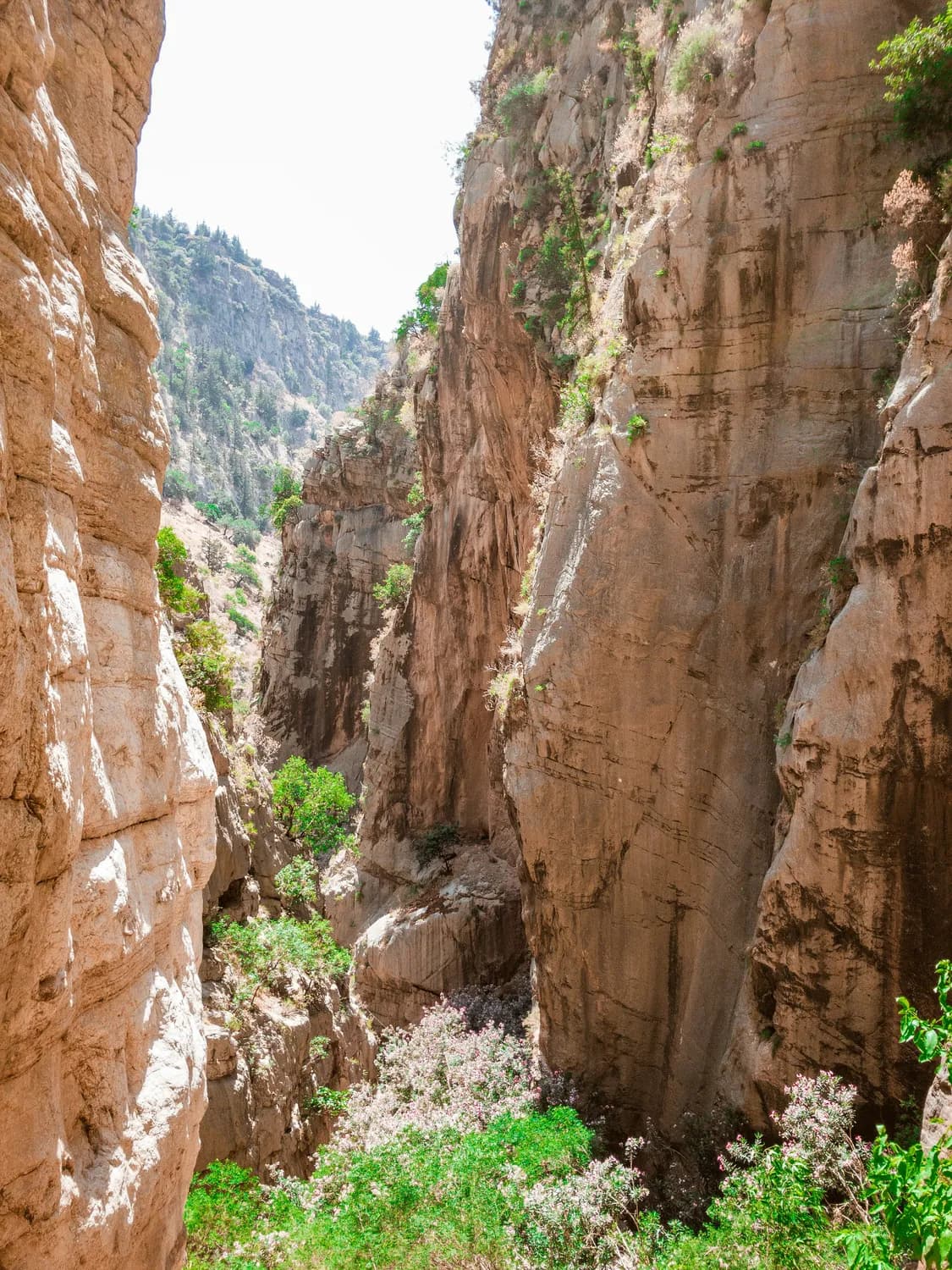 玩转龟峰：世界自然遗产的地质奇观与文化体验