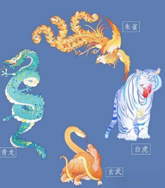 易学与数字：从无极到九宫的哲学智慧